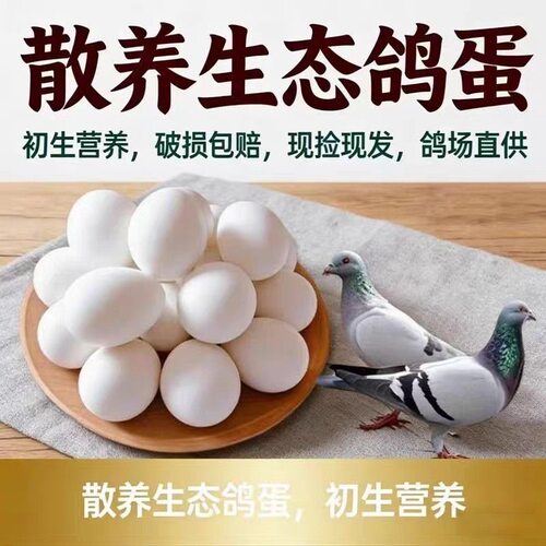 【顺丰发货】鸽子蛋新鲜白信鸽初生蛋农家五谷杂粮散养30枚正宗