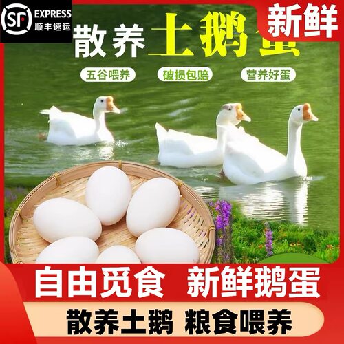 【孕妇首先】自养正宗土鹅蛋单黄新鲜农家散养正宗纯天然土鹅蛋