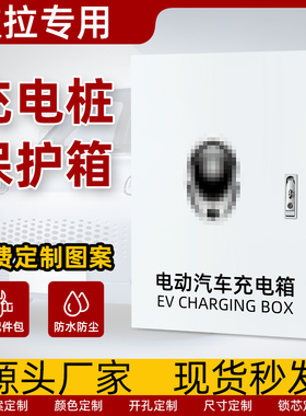 欧拉充电箱充电桩保护箱配电箱 新能源电动 室外防水iQR1R2猫魏派