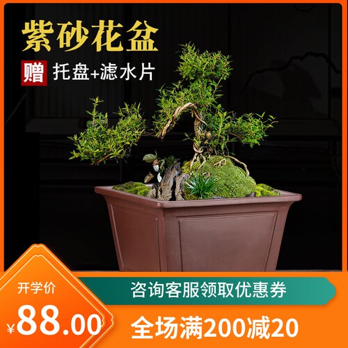 宜兴高端精品紫砂花盆四方盆大号陶瓷花盆景盆方形家用小花盆高档