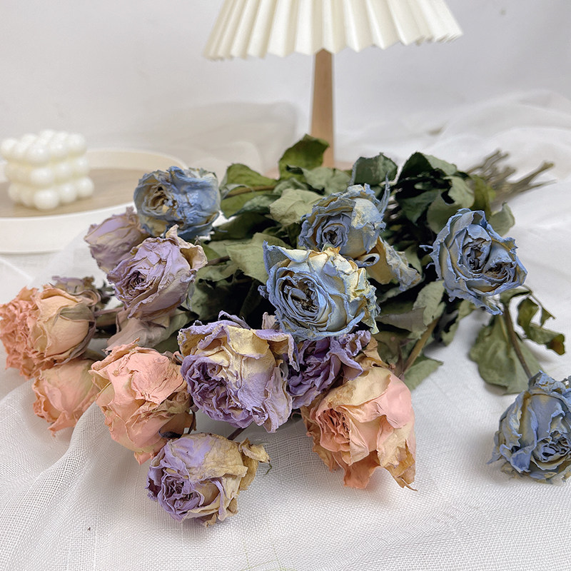 彩色碎冰蓝玫瑰干花真花diy花瓶插花装饰摆设相框花材染色干花