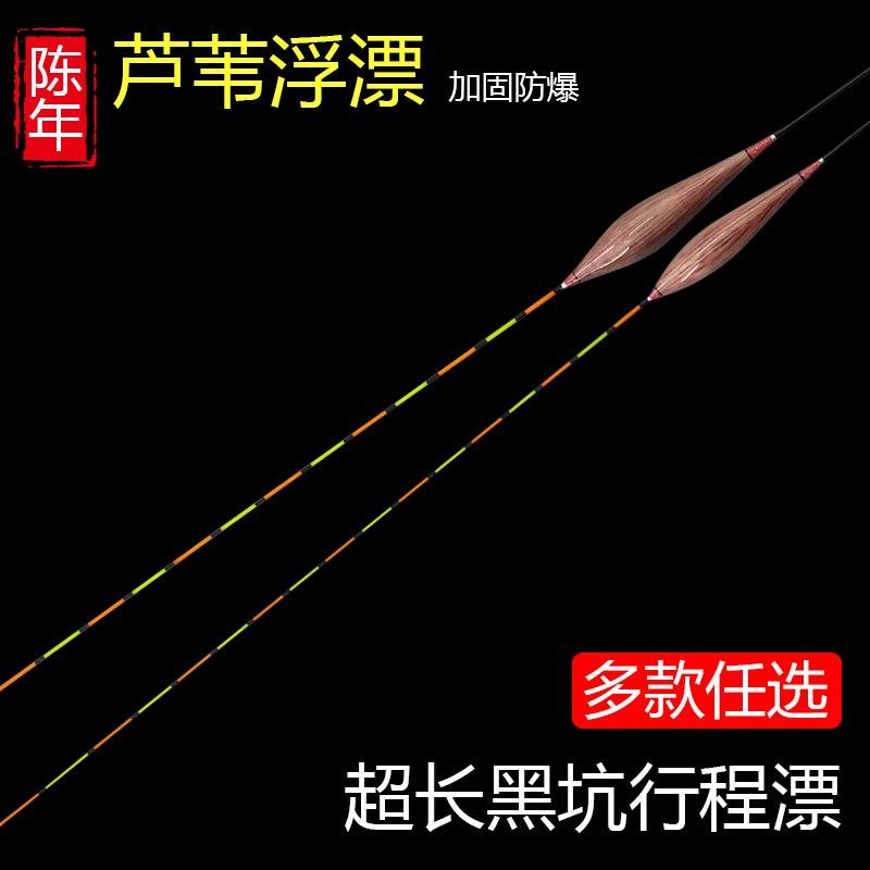 芦苇漂高灵敏轻口鲫鱼漂60CM超长黑坑鲤鱼漂细尾加粗流氓行程浮漂,户外/登山/野营/旅行用品,浮漂,淘宝优惠券,粉丝福利购,淘宝优惠卷