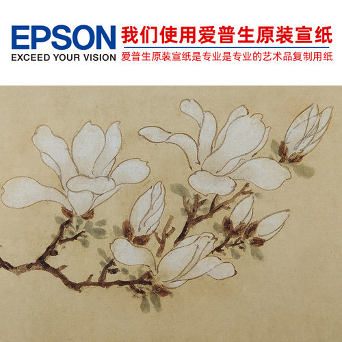 1:1文徵明玉兰图写意花鸟画国画艺术微喷古代名画复制品装饰画