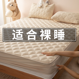 2023新款高档防水隔尿床笠三件套夏款夹棉床罩单件防尘床垫床包