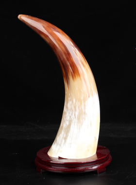 天然牦牛角摆件招财家居酒柜装饰品客厅电视柜玄关办公室开业礼品