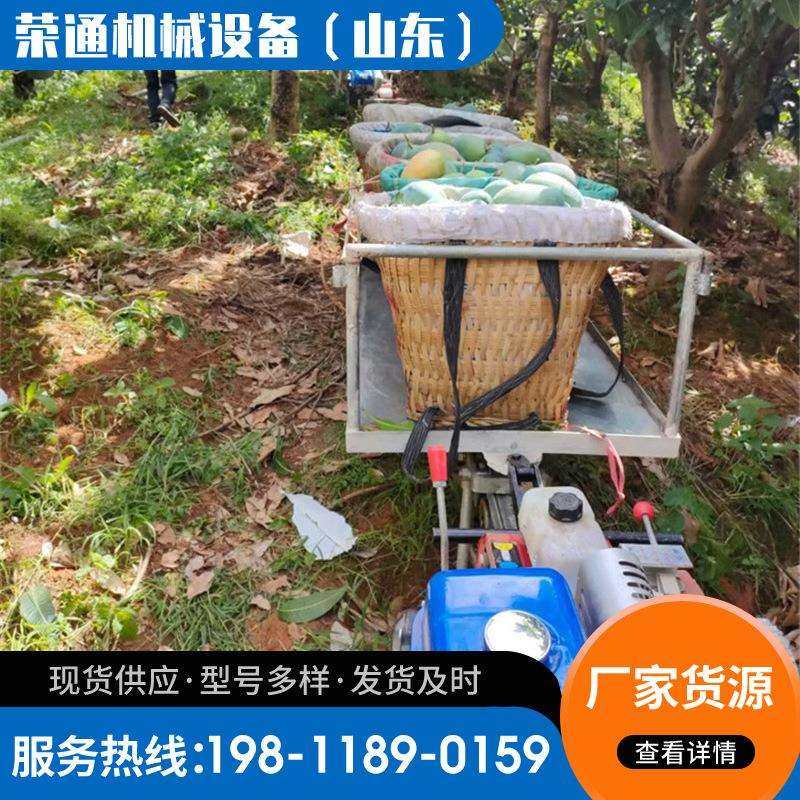 山地果园单轨运输车 自走式大马力汽油机爬坡载货搬运轨道运输车,鲜花速递/花卉仿真/绿植园艺,割草机/草坪机,淘宝优惠券,粉丝福利购,淘宝优惠卷