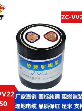 ZC-VV222*50阻燃电缆价格深圳电线电缆有限公司铠装电缆