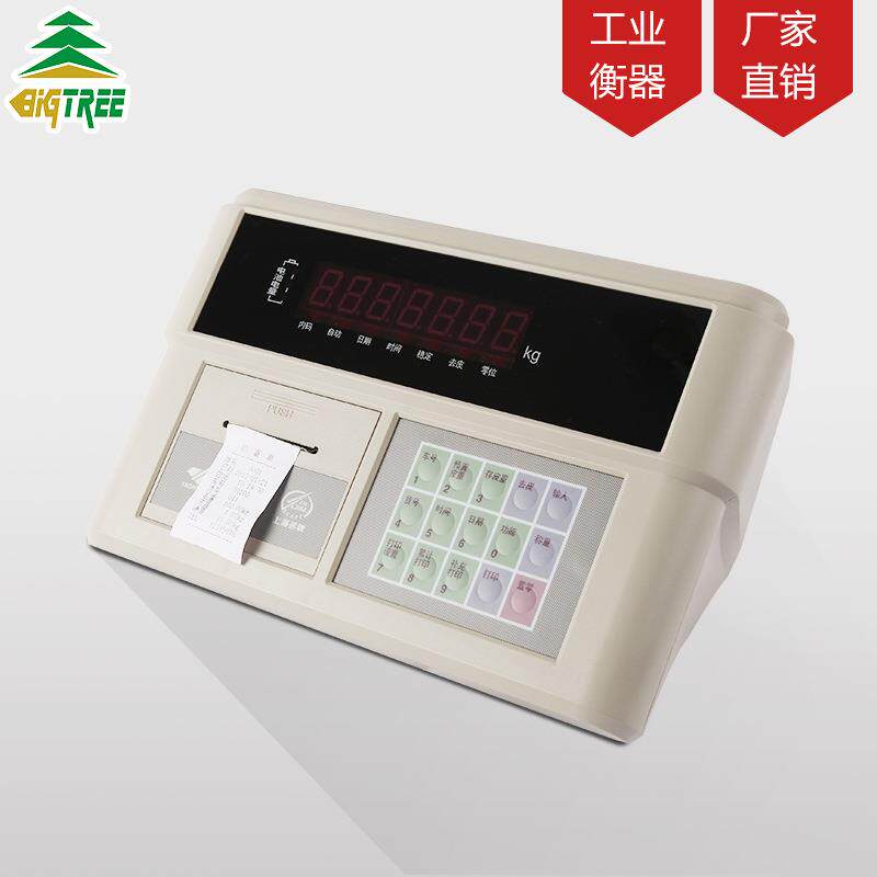 上海耀华仪表称重显示器A9电子秤地磅仪表带打印仪表XK3190-A9+P