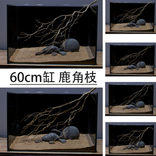 南美鹿角枝鱼缸造景树枝沉木溪流缸枯枝60缸枝条组合鹿角枝沉木