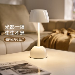 德国柏曼充电台灯 卧室床头儿童护眼灯插电两用paulmann