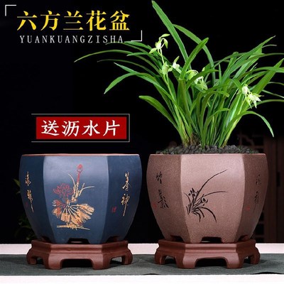 宜兴紫砂花盆大口径六方带托兰花盆君子兰盆景盆适于办公室阳台