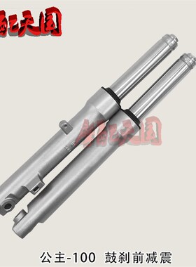 踏板车电动小公主WH100T-A-H/GCC/喜悦优悦100前减震器前叉前避震