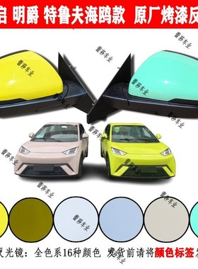 特鲁夫龙启明爵海鸥电动四轮车反光镜倒车镜后视镜片原厂烤漆绿色