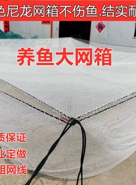 定做白色不伤鱼尼龙网箱养鱼存鱼水产养殖水库抬网鱼池鱼塘网箱