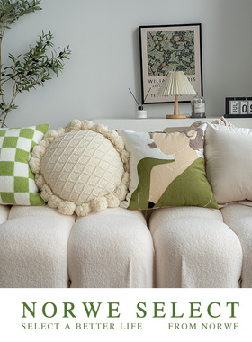 NORWE抱枕组合法式风情刺绣枕套蒲团客厅沙发靠背卧室飘窗靠垫