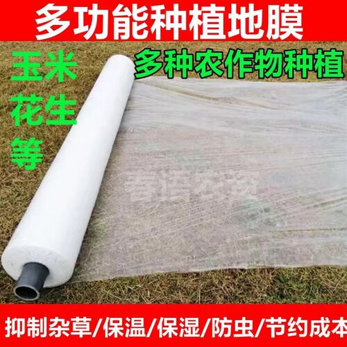 农用地膜种菜育苗大棚果蔬农作物种植白色透明塑料膜保温保湿