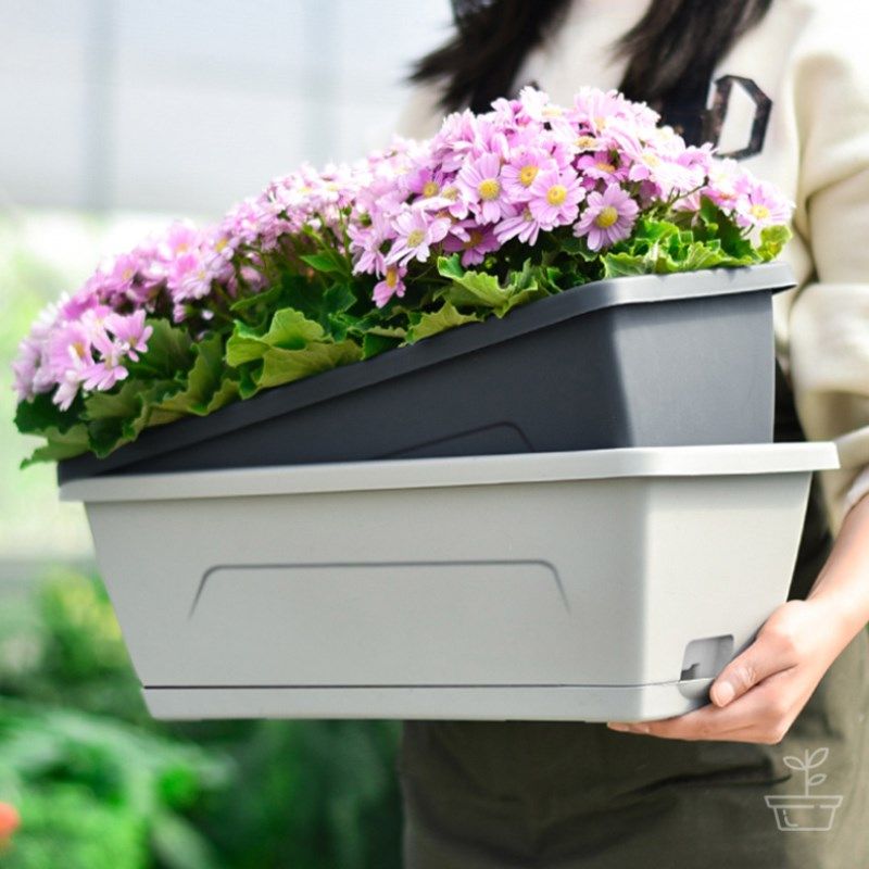 长方形花盆阳台塑料种菜盆家用绿萝挂式盆蔬菜多肉长型带托盘菜盆
