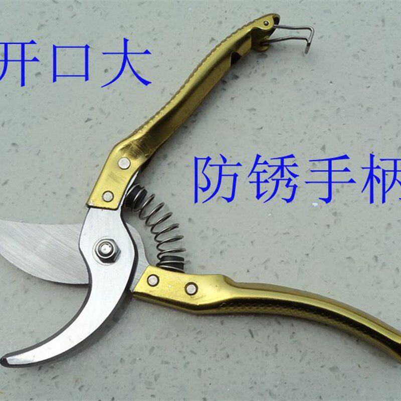 老神树FS1022花剪刀修枝剪果树剪刀金色手把加厚材料质量好