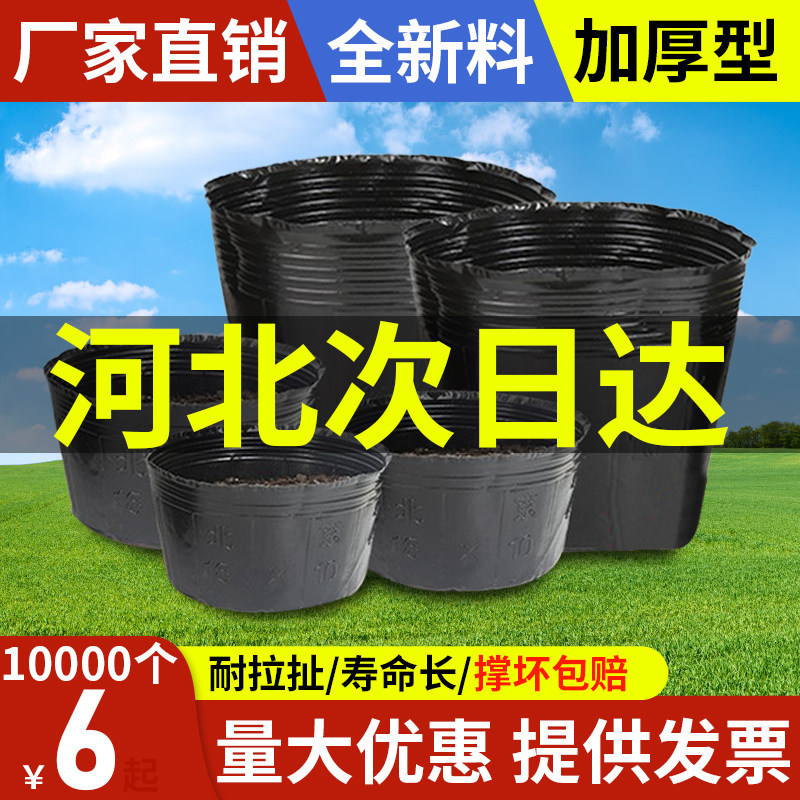 营养钵育苗杯营养杯塑料花盆黑色加厚营养育苗袋大号一次性育苗盆