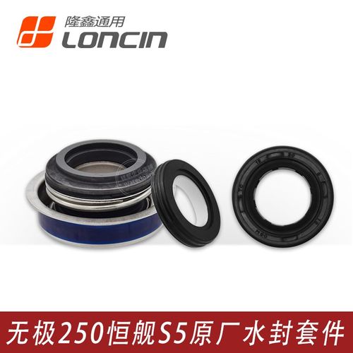 隆鑫KE250无极250RR恒舰S5 LX250GS发动机冷却泵密封圈水封动静环