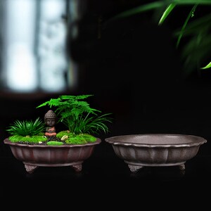 宜兴紫砂兰花盆浅园盆小叶紫檀精品多肉菖蒲桌面盆景创意陶瓷家用