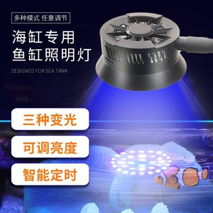 海缸灯led海水鱼缸灯小丑鱼珊瑚专用可调光定时蓝白补光造景夹灯