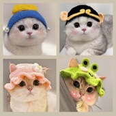 宠物小猫咪猫咪帽子头套狗狗可爱猫咪帽子露耳朵
