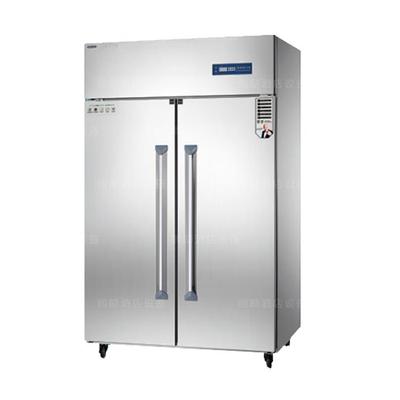 睿丰商用不锈钢双门冷藏冰箱 大二门铜管冷冻保鲜立式冰柜商用