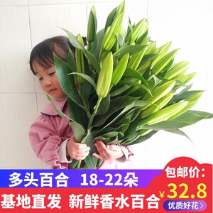 云南昆明多头百合花鲜花直批搭配花束拼团母亲节家用插花基地直发