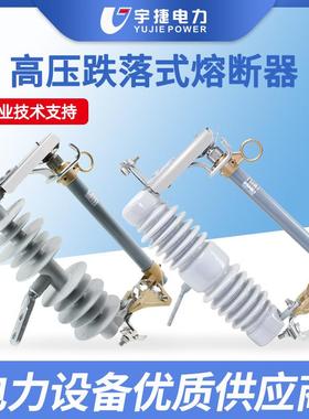 宇捷10 24KV户外高压跌落式熔断器HRW12-15F陶瓷硅胶令克保险NCX