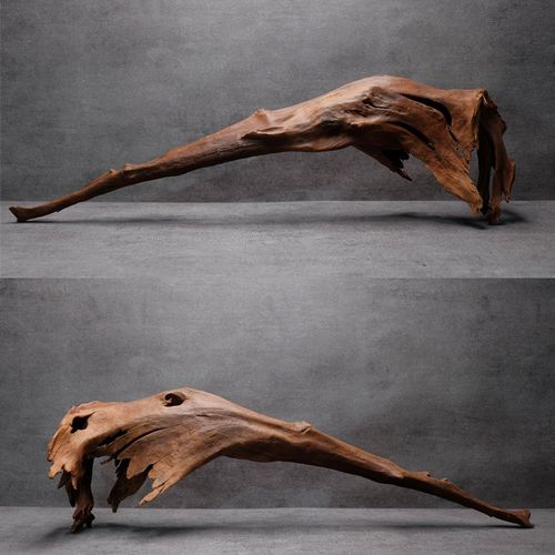 精品50~90鱼缸秒沉木造景大型拱桥多枝南美水族装饰文玩摆件免煮