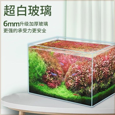 贝森BESSN超白鱼缸桌面鱼缸鱼缸家用客厅鱼缸金晶鱼缸定制鱼缸
