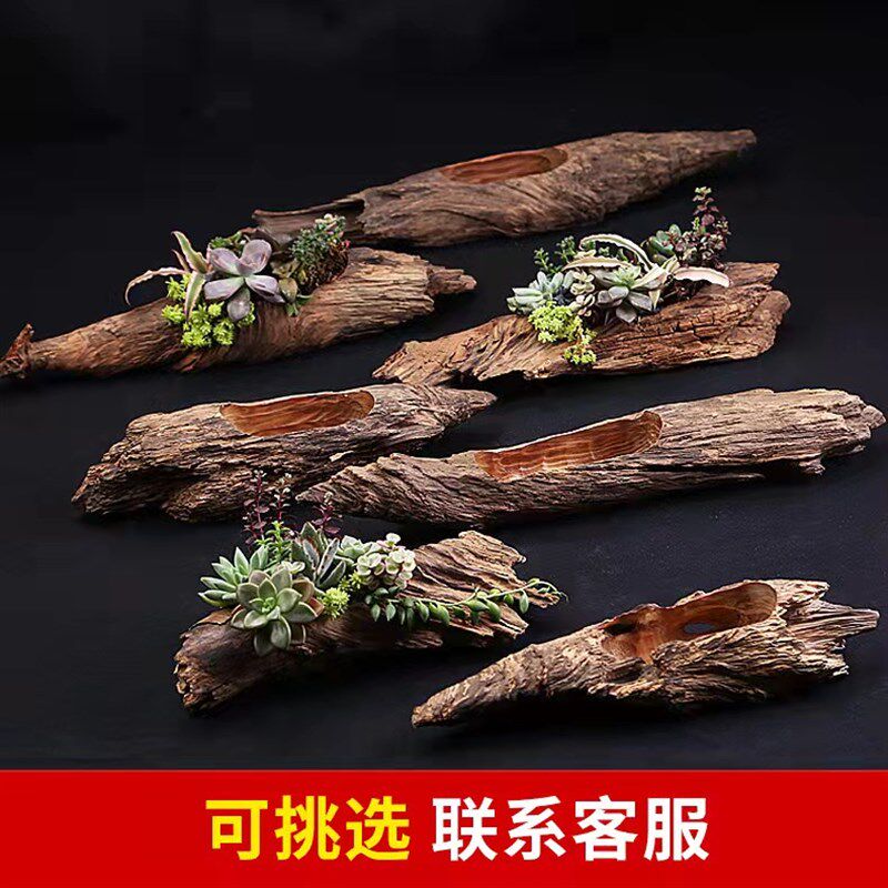 创意多肉植物树根木头花盆天然根雕防腐木质盆铜钱草枯木根小花盆