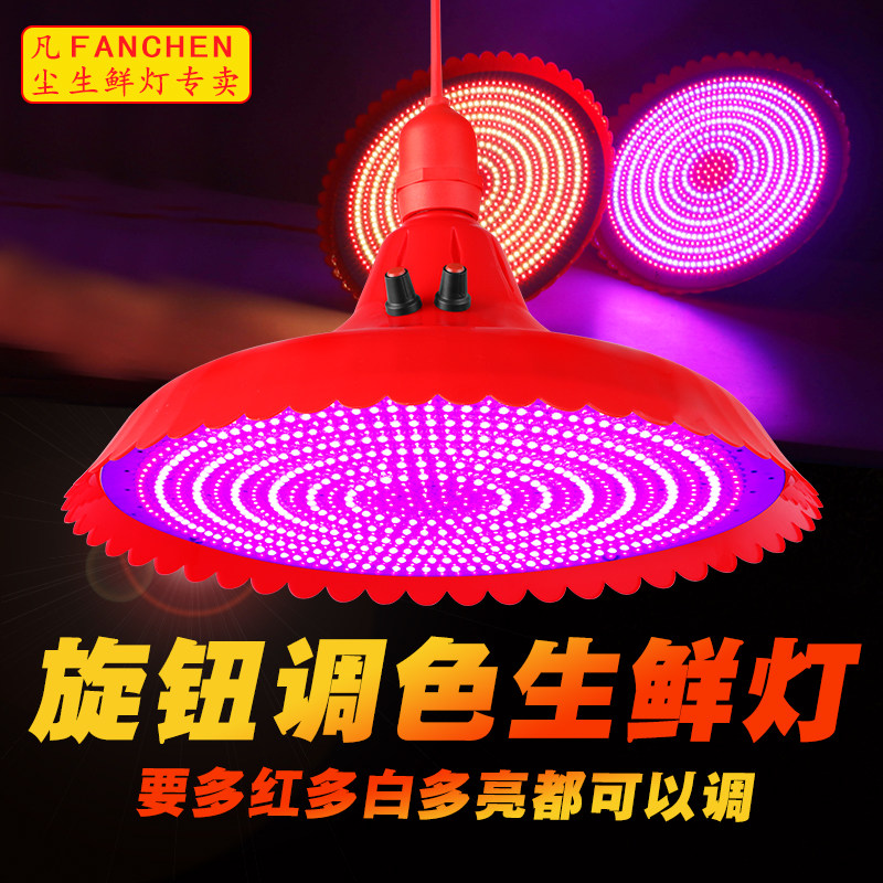 2022新款生鲜灯LED猪肉灯海鲜冰鲜灯水果灯卤味熟食灯可变色红光