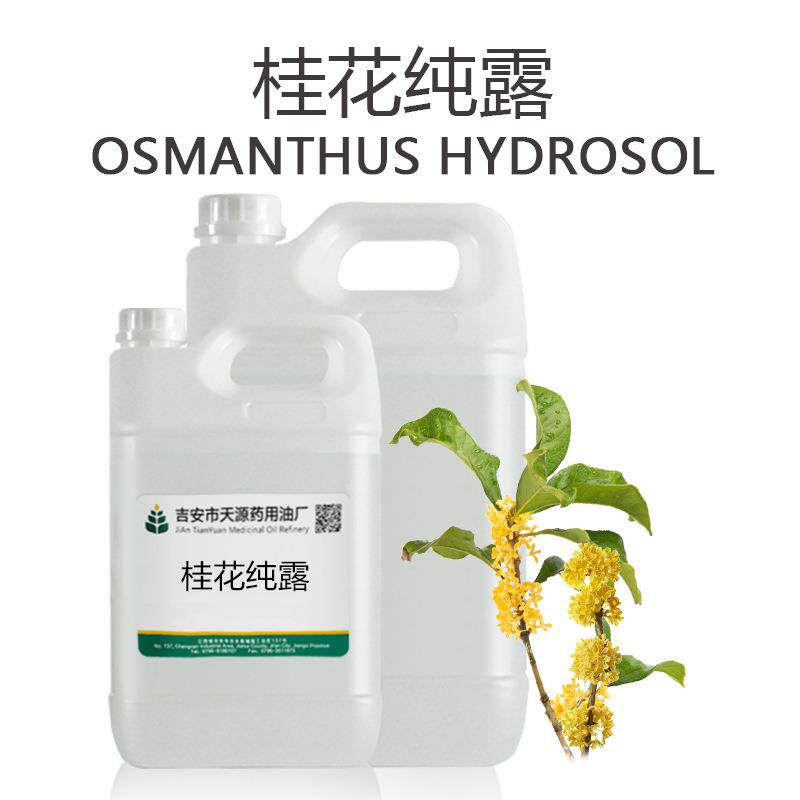 桂花纯露 头道饱和未提精油 面膜爽肤水原料 欢迎采购