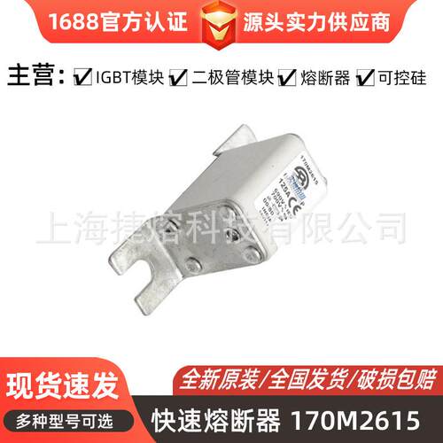 170M1853 170M2615 170M2619快速熔断器 电子元器件 库存充足