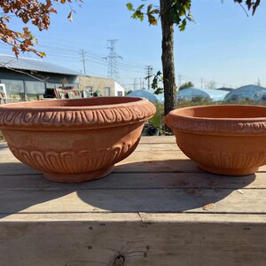 爱上花园粗制陶盆粗陶花盆器陶缸园艺阳台露台透气金盏盛开