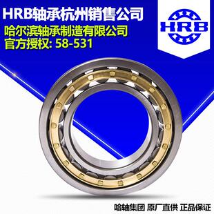 HRB 哈尔滨轴承 RN309M 圆柱滚子轴承杭州公司直营