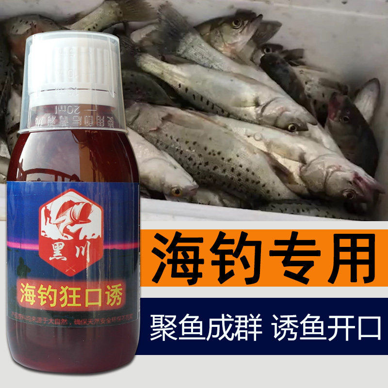海钓狂口诱钓鱼小药黑鲷诱食剂鲈鱼饵料乌头鲻鱼小药梭鱼窝料用品