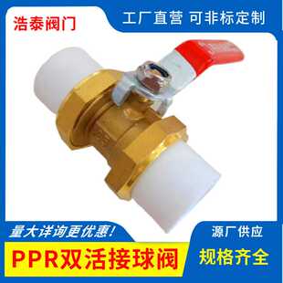 黄铜PPR双活接球阀4分6分活接自来水开关阀门DN25PPR球阀供应