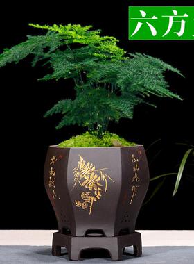 宜兴紫砂花盆简约透气兰花盆君子兰文竹花盆室内多肉植物盆带托盘