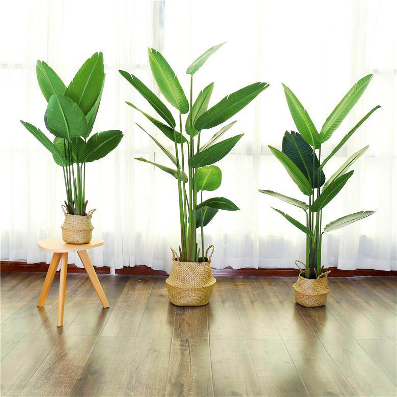 北欧仿真植物落地天堂鸟盆景室内装饰春芋龟背绿摆件旅人蕉树