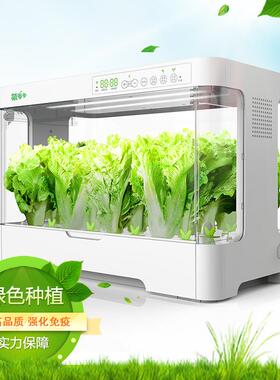菜多多无土栽培自动化设备 智能家庭室内水培蔬菜草莓番茄种植箱