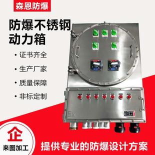森恩bxmd防爆不锈钢照明动力配电箱IIC 检修插座控制箱户外IP65