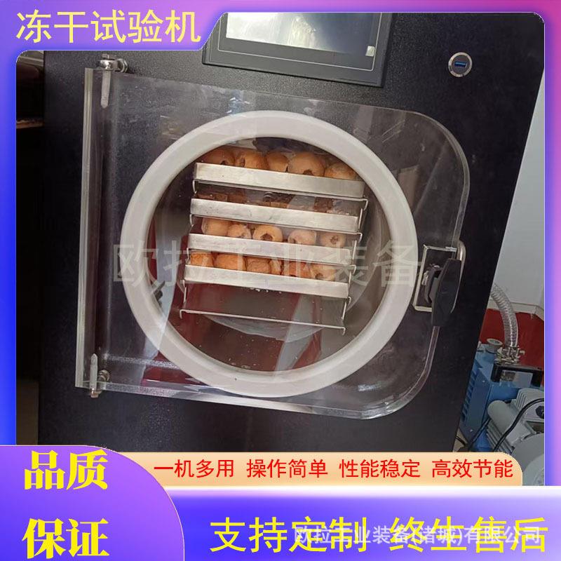 杨梅草莓蓝莓真空冻干设备宠物零食虫草智能真空冷冻干燥机