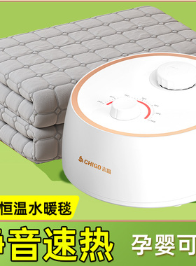 水暖电热毯2024新款冬季恒温暖脚单双人全套调温的电褥子d31924