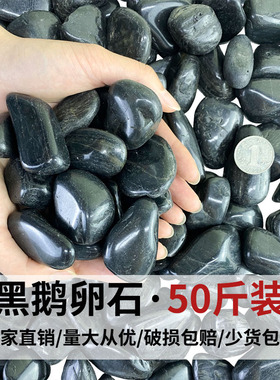 50斤黑色鹅卵石天然雨花石原石庭院园林造景铺路铺地大小石头黑石