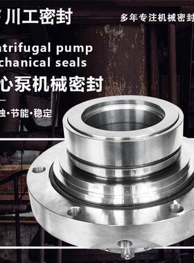 机械端面密封 WJ175JMHR-110/80/65C-SVE 离心泵机封自冲洗流道