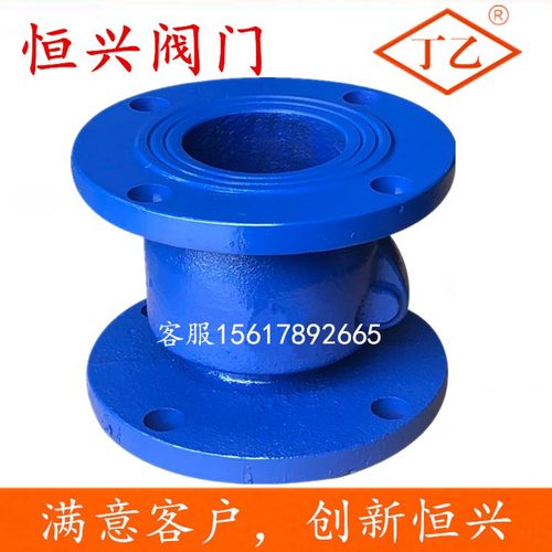 H44X-16新型橡胶瓣止回阀污水止回阀DN40 50 65 80 100 150 200
