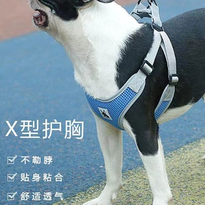 BORORO夏季宠物胸背带背心式轻薄泰迪雪纳瑞狗绳中小型犬遛狗绳